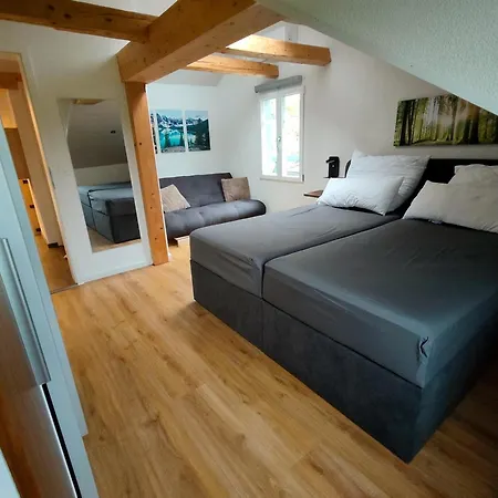 Wahida- Wellness Oase Im Neckertal! Holiday home Sankt Peterzell